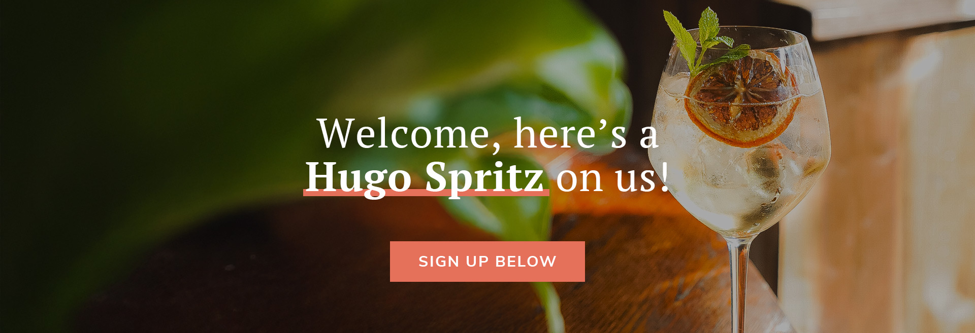 Sign up to the newsletter at The Crown Tavern